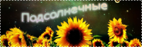 sunflower.png