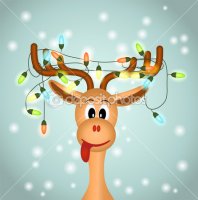 depositphotos_14251175-Funny-reindeer-with-christmas-lights.jpg