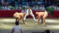 sumo.jpg