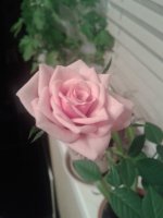 20130513_230918.jpg