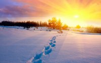 Winter_____Footprints_in_the_snow_083369_.jpg