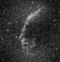 ngc6995.jpg