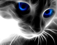 3d-gray-cat-1280.jpg