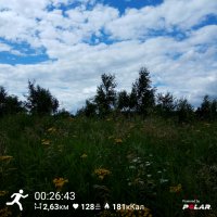 PolarFlow_20170805_221602.jpg