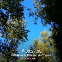 PolarFlow_20170824_210814.jpg