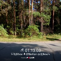 PolarFlow_20170831_214311.jpg