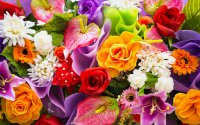 Colorful-flowers-computer-background.jpg