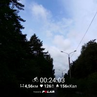 PolarFlow_20170916_112312.jpg