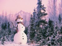 christmas-holiday-snowman-for-christmas-free-wallpaper-in-free-desktop-700x525(1).jpg