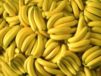 bananas_PNG5352.png.jpg