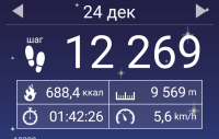 Screenshot_2017-12-26-03-00-56-960_com.tayu.tau.pedometer.png