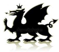 depositphotos_3464561-stock-illustration-heraldic-medieval-dragon.jpg