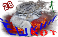 Ёшкин котКом1.png