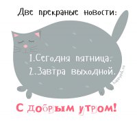 s-dobrym-utrom-zhivotnye24_happypik.ru_.jpg