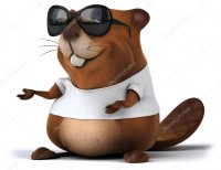 depositphotos_90942002-stock-photo-fun-cartoon-beaver.jpg