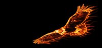 Fire-Eagle.jpg