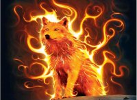 Wolf_Flame_On.jpg