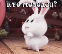 заяц кто молодец.gif