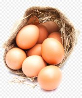 kisspng-chicken-egg-euclidean-vector-hd-picture-egg-sacks-5a750c34997212.6745691115176202766285.jpg