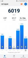 Screenshot_20190124-192018_Pedometer - Step Counter.jpg