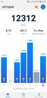 Screenshot_20190208-192345_Pedometer - Step Counter.jpg