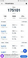 Screenshot_20190213-141157_Pedometer - Step Counter.jpg