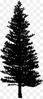 kisspng-tsuga-heterophylla-pine-tree-clip-art-black-and-white-5abc9b718cb668.41137494152231000...jpg