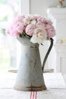 peony jug.jpg