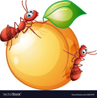 a-fruit-with-two-ants-vector-1207479.jpg