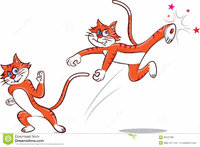 kung-fu-cat-vector-illustration-doing-35123760.jpg