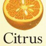 Citrus