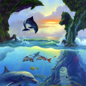 7-dolphins.jpg