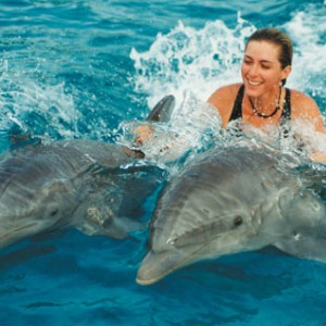 dolphins-and-a-woman.jpg