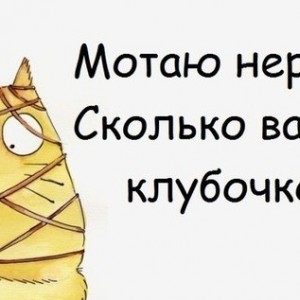 О нервах и котиках)