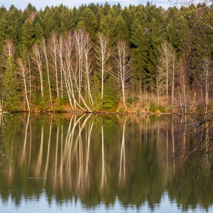 Лесное озеро