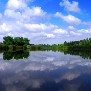 Водное зеркало