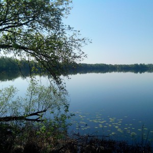 водохранилище