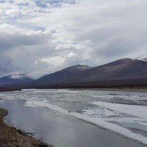 Ледоход на реке Индигирке