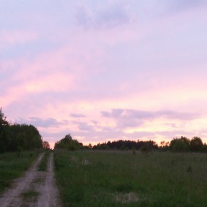 Уходящая вдаль дорога, разметавшиеся огни... Вечер дня золотистый кокон Спрятал в жгучей своей тени