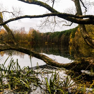 В поисках осени...