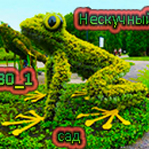 Лягушка 1