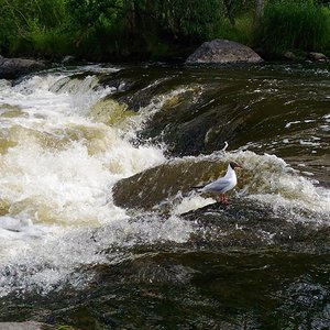 Спокойствие 80го уровня