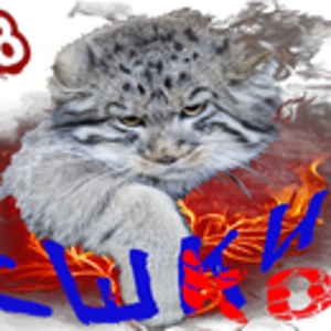 Ёшкин котКом1.png