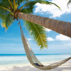 1302012083_nature_beach_hammock_on_an_ocean_coast_023621_.jpg