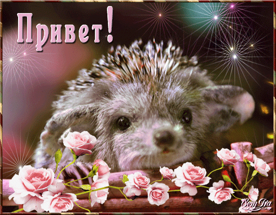 0001-gif.151452