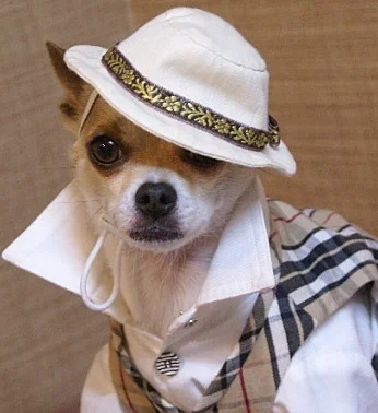 001fb33841857b717008c0618311a5b5-jpg.542110