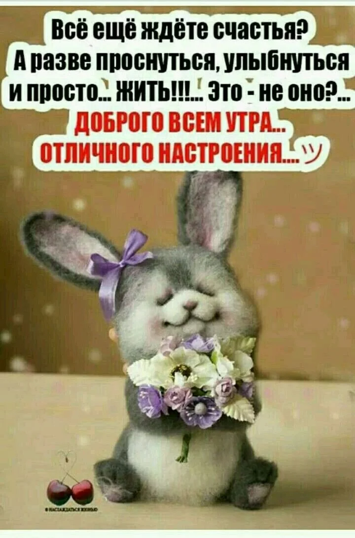 05288f883e88fcfa505e2b6aa241b9c1_copy_720x1089-jpg.1365795