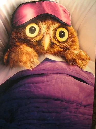 0_1129df_1d68100d_-1-l-jpg.303922