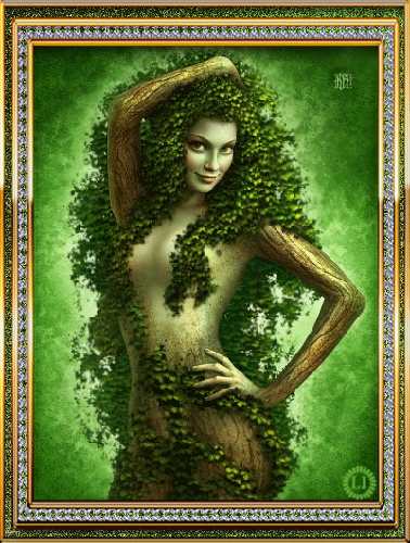 0_96280_e6697847_l-jpg-gif.356960