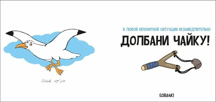 0c8aa5cf7c9b4a89918fa17d5d8f93aa-jpg.739649